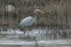 DSC_9171_filteredtn.jpg