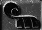 IMG_2642.jpeg