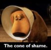 cone of shame - Dug (SMALL).jpg