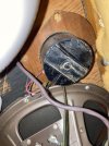 IMG_5013.jpeg