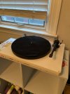 IMG_9766.jpeg