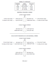 Headshell Wiring - Universal type and AR XA & XB.png