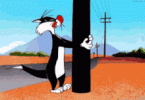 bang head (sylvester).gif