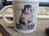 cup 007.JPG