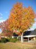 DSCN0288.jpg