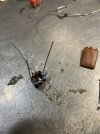 IMG_0712.jpeg