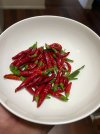 Chillies 2024 2.jpg