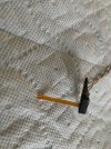 IMG_4110.jpeg