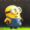 minion-ask question.gif