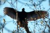 DSC_0814-1tn.JPG