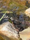 IMG_3986.jpeg
