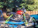 guzzi.jpg