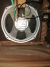 IMG_20240315_172424384.jpg