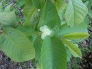 100_0541.JPG