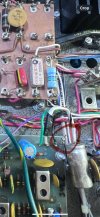 IMG_7302.jpeg