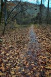 DSC_5880.JPG