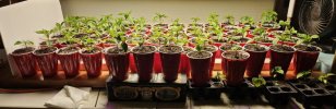 1713975795555.jpeg