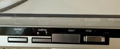 IMG_5313.jpeg