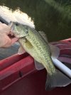 bassburke624.jpg