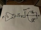 IMG_3755.jpeg