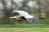 DSC_1592-1ftn.jpg