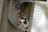 DSC_1623-1tn.JPG