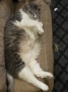 Wildcat-HotDay_5227.JPG