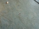 DSC02666.JPG