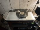 IMG_2959.jpeg