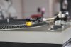 IMG_7888 (Small).JPG