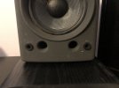 IMG_3462.jpeg