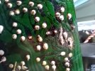 20240619_195028.jpg