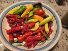 IMG_0553.jpeg