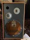 IMG_7311.jpeg