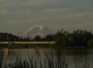 _DSC0727.JPG