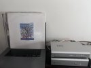 IMG_9981.jpeg