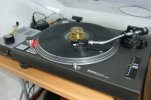 DSC00141.JPG