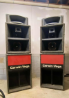 CV (1).png
