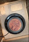 IMG_3380.jpeg