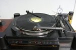 DSC00164.JPG