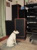 Nipper_Full.jpg