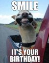 silly-happy-birthday-images-best-25-funny-happy-birthdays-ideas-on-pinterest-funny-happy-free.jpg