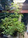 IndoorMaters_5827.JPG