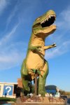 Drumheller-Dino-Statue-Drumheller-and-District-Chamber-of-Commerce-683x1024.jpg