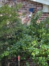 DrivewayCam-TestMount_5934.JPG