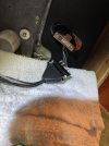 IMG_7472.JPEG