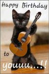 IMG_2478.jpeg