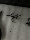 IMG_3956.jpeg