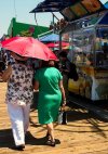 umbrella.jpg