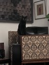 IMG_0484.jpeg